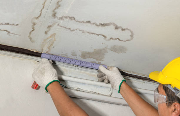 Reliable Burst Pipe Cleanup contractor in Gig Harbor, WA by Water Damage Irwin